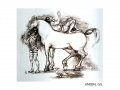 01-anibal-gil