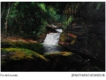artista_76_19