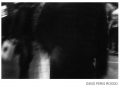 05_david_peris
