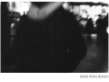 14_david_peris