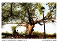 01-galeria-gloria-mompos