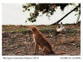 06-galeria-gloria-mompos