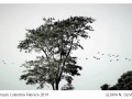 24-galeria-gloria-mompos