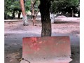 43-galeria-gloria-mompos