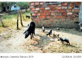 47-galeria-gloria-mompos
