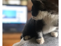 gloria96_06