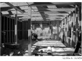 04_gloria_90