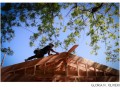 11_gloria_90