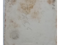 federico15