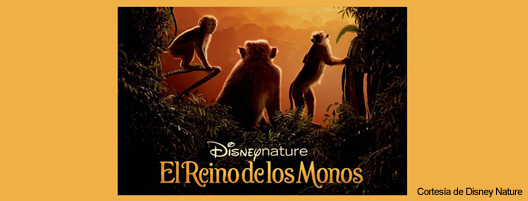 El reino de los monos la aventura documental de disney