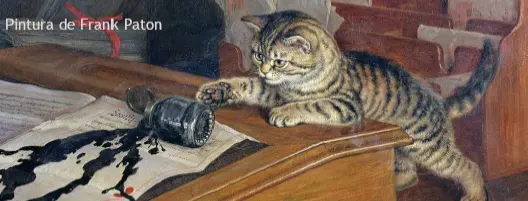 hipocritas de mascota
