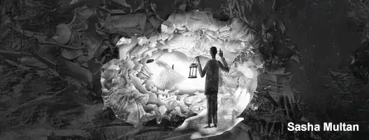 poemas de orfeo en el jardin