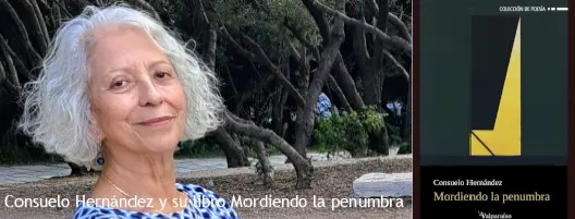 mordiendo la penumbra